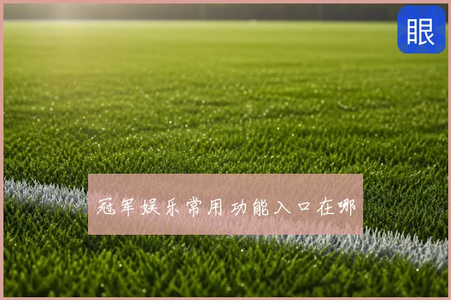 冠军娱乐常用功能入口在哪